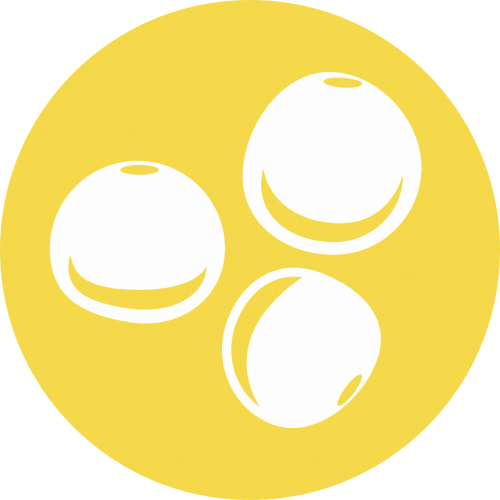 Altramuces
